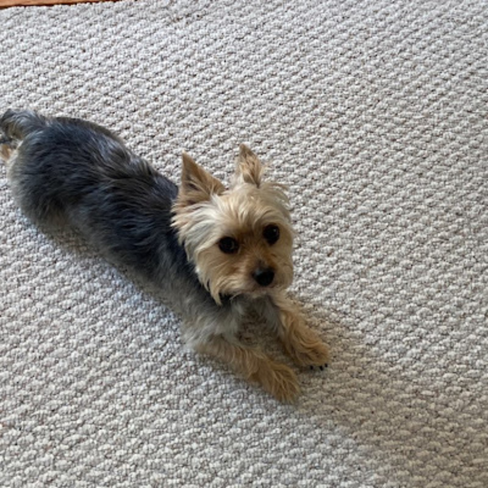 Meet your Posher, Jonny